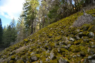 DSC_5957 (Large).JPG